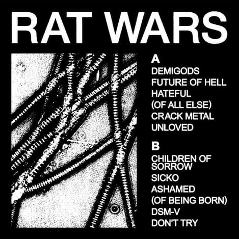 HEALTH - Rat Wars